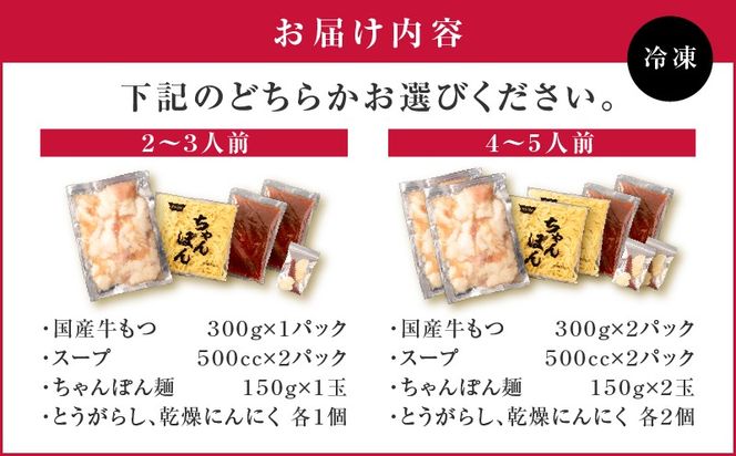 ＜選べる＞寺師の国産牛もつ鍋セット 2～3人前 or 4～5人前　K005-001