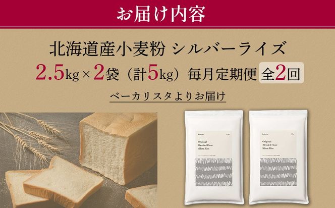 【毎月定期便】北海道産 はるゆたかブレンド小麦粉 シルバーライズ（パン用強力粉）5kg 全2回 MROBI027