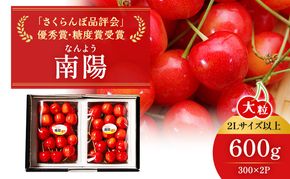 先行受付 北海道 仁木町産 ジャンボサイズ さくらんぼ 【 南陽 】 2Lサイズ以上 300g×2パック 計600g　サクランボ チェリー フルーツ 果物 果物類  仁木町 仁木 [嶋田茂農園匠]