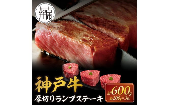 神戸牛厚切りランプステーキ 200g×3枚《 肉 牛肉 牛 神戸牛 国産牛 ランプ ステーキ ステーキ肉 厚切り 厚切りカット プレゼント おすすめ 美味しい 返礼品》【2404A00115】