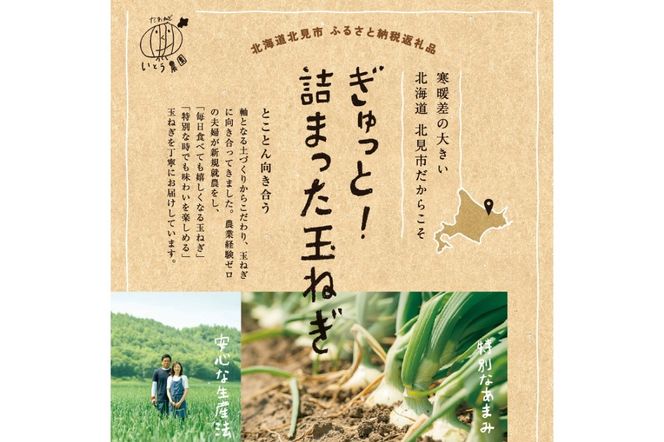 【予約：2024年10月中旬から順次発送】いとう農園の玉ねぎ 10kg ( 玉葱 タマネギ 野菜 期間限定 数量限定 10キロ )【181-0001】