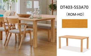 ナガノインテリア ダイニング テーブル DT403 （W1500×D850） 