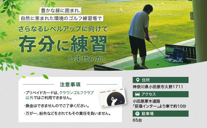 クラウンゴルフクラブ　ゴルフ練習場利用プリペイドカード【ゴルフ練習場 プリペイドカード 2枚6000円分 神奈川県 小田原市 】 142069_DT002