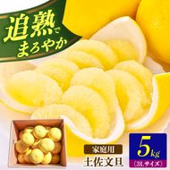 【先行予約】土佐文旦の創始 宮地文旦園の土佐文旦 家庭用3L 大玉 約5キロ 7～9個入り 5kg〈2027年3月上旬～4月下旬〉 ぶんたん ブンタン フルーツ 柑橘 みかん 果物 くだもの 柑橘類 デザート プレゼント ギフト 高知県 土佐市【宮地文旦園】[BQBP004]