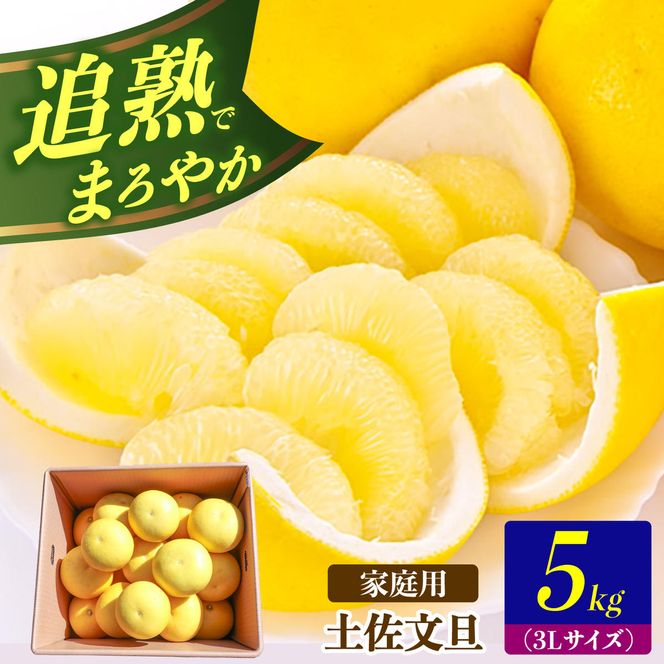 【先行予約】土佐文旦の創始 宮地文旦園の土佐文旦 家庭用3L 大玉 約5キロ 7～9個入り 5kg〈2027年3月上旬～4月下旬〉 ぶんたん ブンタン フルーツ 柑橘 みかん 果物 くだもの 柑橘類 デザート プレゼント ギフト 高知県 土佐市【宮地文旦園】[BQBP004]