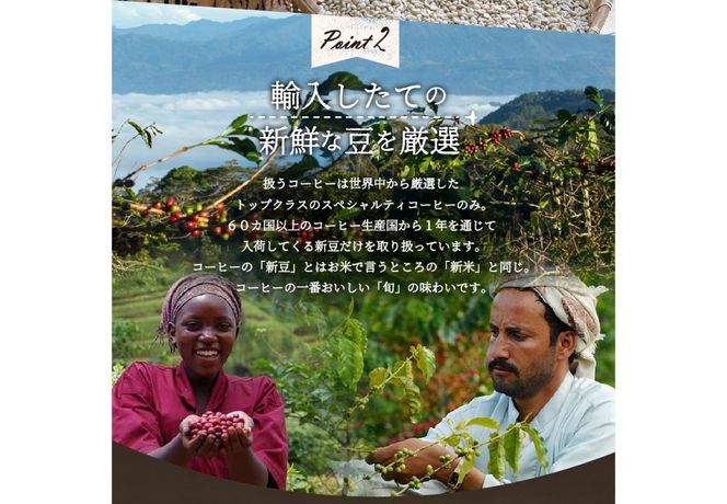 【訳あり】動物保護支援 ブレンドコーヒー 富士山の湧き水で磨いた スペシャルティコーヒー (豆640g / 粉640g / ドリップ32パック) コーヒー 珈琲 ブレンド コーヒー スペシャルティコーヒー 挽き立て 山梨 富士吉田