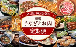 【全12回】厳選！うなぎとお肉の定期便(毎月お届け）　H028-076