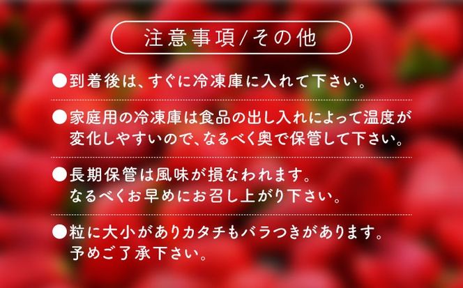 福岡県産【博多冷凍あまおう】約500g×2袋 合計約1kg《築上町》【株式会社H&Futures】[ABDG005]