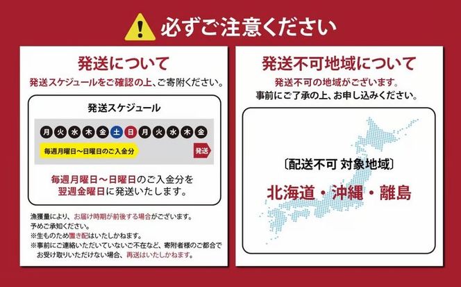 国産 小山町産 アトランティックサーモン 冷凍 スモークサーモン 80g×4パック 冷燻 