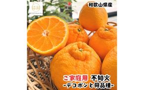 有田育ちの濃厚 不知火 ( デコポン と同品種)( 訳あり 家庭用 ) 約3kg+200g(傷み補償分) ※2027年1月下旬～3月下旬に順次発送【ard022C】
