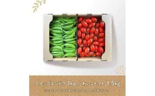 【令和8年発送】宮崎県産　あいこトマト1.5kg　&　スナップエンドウ1kg 【 野菜 ミニトマト とまと スナップエンドウ 宮崎県産 川南町産 野菜 産地直送 新鮮 数量限定 】[C03906]