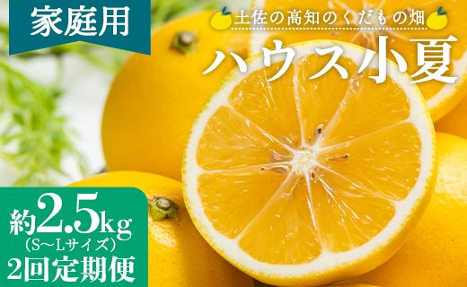 【2026年出荷分】【2回定期便】土佐の高知のくだもの畑 ハウス小夏2.5kg(家庭用) 高知 土佐 こなつ 果物 フルーツ 土佐の高知のくだもの畑 【先行予約】 - 家庭用 訳あり 小夏 ハウス ミカン みかん 蜜柑 柑橘 果物 フルーツ こなつ のし対応可 熨斗 国産 Wkd-0033