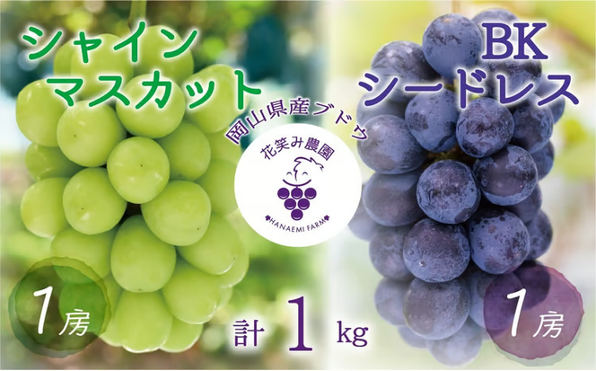 【2026年先行予約】 岡山 花笑み農園『シャインマスカット&BKシードレス』1kg(2房) 2026年9月下旬～ 受付順に発送予定 【hana047-02】