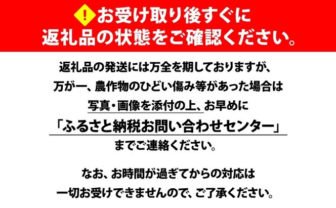 【 2026年 発送 】 北海道産 とうもろこし 味来 計24本 L-2L サイズ混合 大きめ みらい 旬 朝採り 新鮮 トウモロコシ 甘い 夏野菜 とうきび お取り寄せ 産地直送 野菜 しりべしや 送料無料 