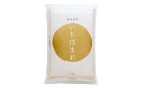 いちほまれ4キロ（令和7年産）福井の高級ブランド米 お米 b1102