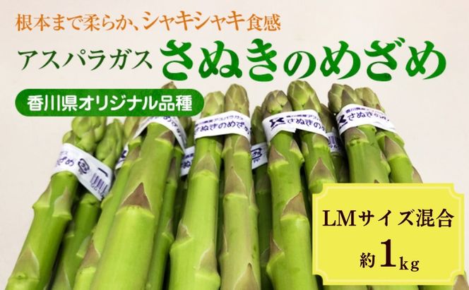 2027年初物予約！  アスパラガス【さぬきのめざめ】約1kg　LM混合