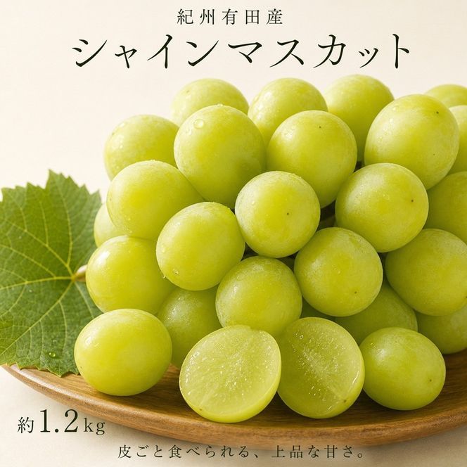 紀州有田産シャインマスカット　約1.2kg【先行予約】【2026年8月下旬以降発送予定】AN023 