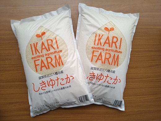 【新米】令和8年産　すっごいもちもち 「しきゆたか」 白米【10kg(5kg×2袋)】【C004W2】（滋賀県　近江八幡市）