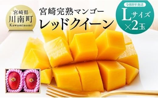【令和8年発送】宮崎県産完熟マンゴー　「レッドクイーン」L×2玉 【 果物 フルーツ マンゴー 宮崎県産 完熟マンゴー みやざきマンゴー 先行予約 数量限定 期間限定 】 [C03218]