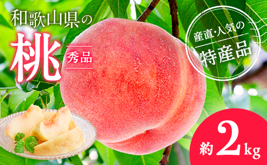【産直・人気の特産品】和歌山の桃　約2kg・秀品◇ ｜ モモ 国産 フルーツ お取り寄せ ギフト