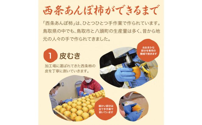 西条あんぽ柿【鳥取いなば農業協同組合】 312011_CR005