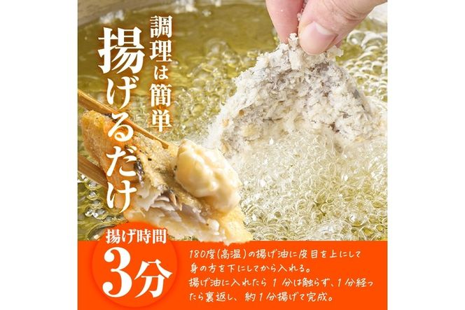 ＜訳あり・お試し用＞地魚フライセット詰合せ(計4P・3種類以上)フライ 揚げ物 あじ さわら ぶり さば かます しいら うるめいわし 寒ぼら いわし お惣菜 お弁当 おかず 魚 冷凍 詰め合わせ 揚げるだけ 時短 セット 小分け 鯖 鯵【DH209】【株式会社ネクサ】