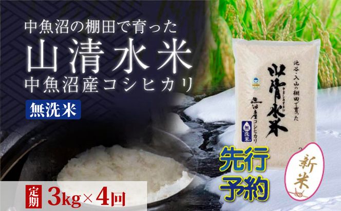 【令和8年産 先行予約】【定期便／全4回】無洗米3kg 新潟県魚沼産コシヒカリ「山清水米」
