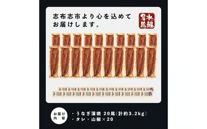 鹿児島県産うなぎ蒲焼 名水慈鰻 20尾(1尾約160g)＜計約3.2kg＞ wa4-001