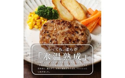 山梨県産　熟成肉ハンバーグ10個セット ハンバーグ 冷凍ハンバーグ お弁当 肉 富士吉田 山梨