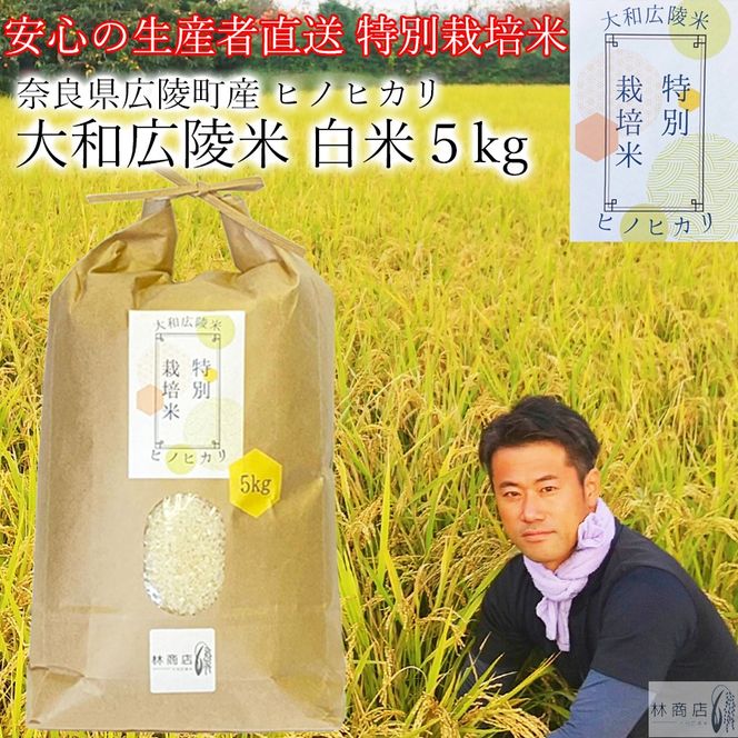 【令和7年度産】《新米》【11月下旬より順次発送予定】特別栽培米　奈良県広陵町産ヒノヒカリ　白米5kg// / ひのひかり ヒノヒカリ ブランド米 白米 ご飯 お米 大和米 おにぎり おむすび 安心 安全 美味しい 人気 直送 奈良県 広陵町