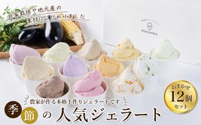  ジェラート セット 12個 3月発送 21000円 / キミノ―カ アイス クリーム スイーツ 野菜 果物【kmk105-mar-12】