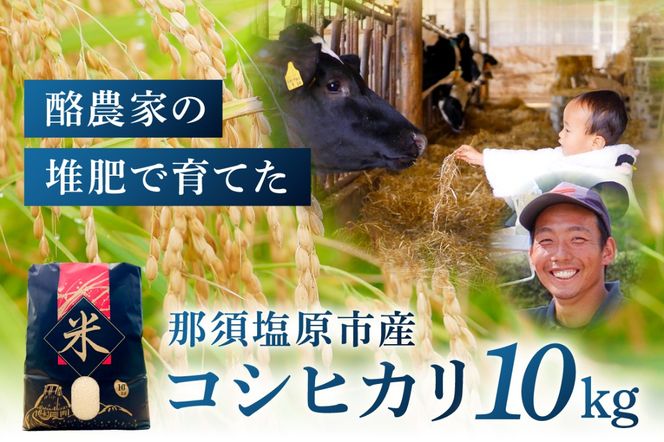 yȖ،ߐ{szns130-001 ߐ{sYRVqJ@10L