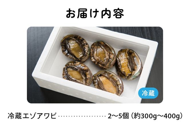  日時指定不可【産地直送　留萌産】天然活エゾアワビ 300ｇ～400ｇ（2～5個入り）R006-015