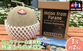 【2026年6月下旬～発送】特選 ふらの メロン 1玉 約2kg 北海道 富良野市 赤肉メロン (ジュラファーム富良野) メロン フルーツ 果物 新鮮 甘い 贈り物 ギフト 道産 ジューシー おやつ ふらの ブランド 夏 