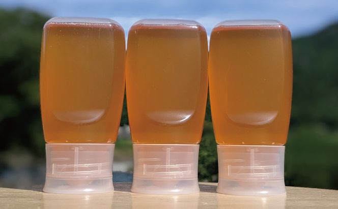 合計900g 天然蜂蜜 国産蜂蜜 非加熱 生はちみつ 岐阜県 美濃市産 春 (蜂蜜300g入りピタッとボトル3本セット)A11 深田養蜂のハチミツ