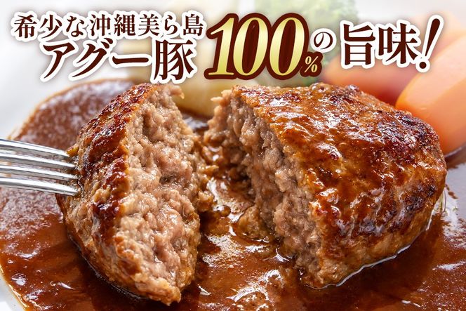 美ら島あぐー ハンバーグ 選べる 8～24個 セット
