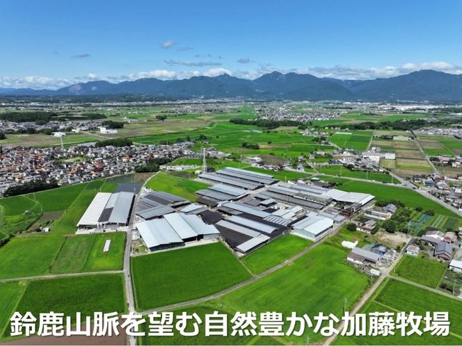 ＜定期便＞松阪牛の品評会で最優秀賞受賞歴のある 加藤牧場の黒毛和牛 ロース・肩ロース　1kg【5回発送】／牛肉　国産牛　黒毛和牛　ロース　肩ロース　肉　上質　美味しい　人気　おすすめ　三重県-[G826]