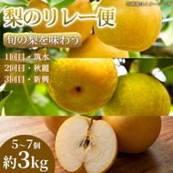 【旬の梨を味わう】熊本県産 リレー便(各5～7個 )(約3kg)(1回目)筑水(2回目)秋麗(3回目)新興 梨 フルーツ 詰め合わせ 食べ比べ 甘い 濃厚 農家直送 ギフト 贈答用 家庭用 お取り寄せ 熊本県