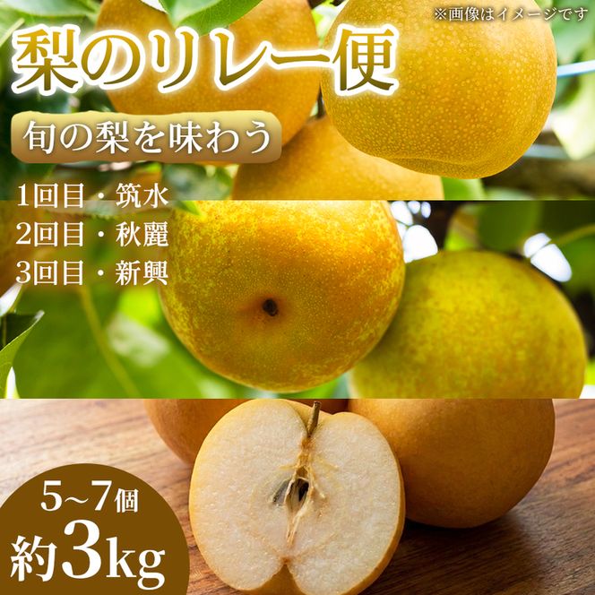 【旬の梨を味わう】熊本県産 リレー便(各5～7個 )(約3kg)(1回目)筑水(2回目)秋麗(3回目)新興 梨 フルーツ 詰め合わせ 食べ比べ 甘い 濃厚 農家直送 ギフト 贈答用 家庭用 お取り寄せ 熊本県
