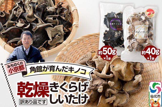 訳あり出汁取り用乾燥しいたけ 約40g×1袋、訳あり乾燥きくらげ 約50g×1袋（計2袋）お得セット [しいたけ 椎茸 シイタケ エノキ きくらげ 木耳 キクラゲ 出汁取り 乾燥 乾物 訳あり 秋田県 仙北市 角館]|02_sne-040201