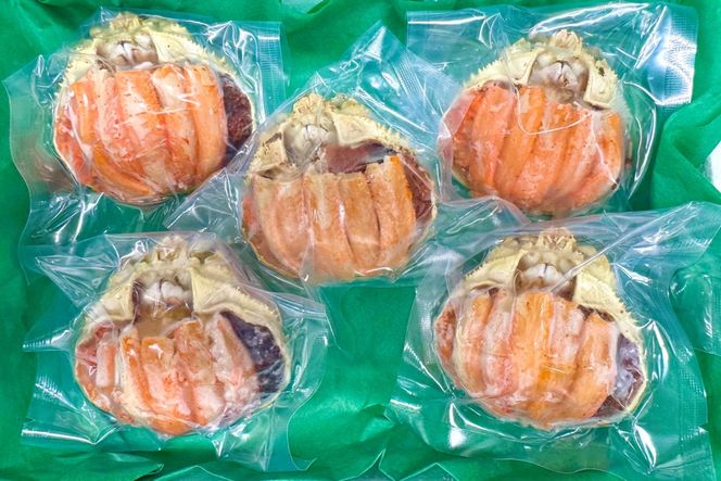 セイコガニ甲羅盛2Lサイズ 5個セット 蟹 ふるさと納税 カニ ふるさと納税 かに ふるさと納税 海鮮 ふるさと納税 松葉ガニ ふるさと納税 セコガニ　SK00230