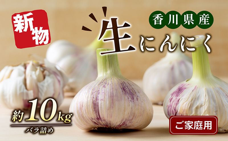 にんにく 生にんにく 約10kg バラ詰め ご家庭用 不揃い 肉厚 濃厚 風味 香り 焼肉 餃子 唐揚げ 炒め物 パスタ 薬味 料理 アヒージョ ペペロンチーノ ガーリックライス 大蒜 五色青果 香川県 東かがわ市 46312207