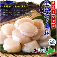 28-49 【甲羅組】ほたて貝柱 中型サイズ １ｋｇ