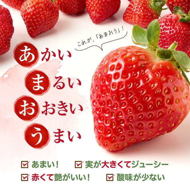 【アフター保証】 JAよりお届け！「博多あまおう」約280g×2パック【JAほたるの里】_HA1937