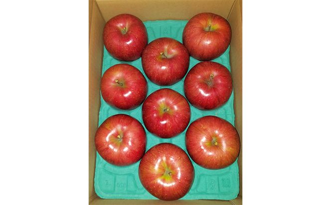 【先行予約／8月下旬まで】りんご（家庭用グレード上位） 4品種定期便　各約3kg×4回 9月～12月　旬りんご発送　トメズファーム　りんご　長野　信州　小諸　果物　フルーツ