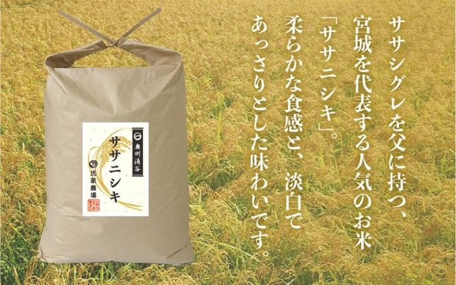 令和6年産 氏家農場のこだわりのお米 「ササニシキ」 5kg / 米 お米 精米 白米 ご飯 産地直送