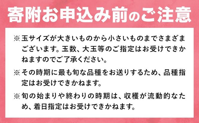 桃 岡山の桃 約4kg《6月下旬-9月上旬頃発送》岡山県 笠岡市 白桃 岡山 はくとう スイーツ フルーツ 果物 デザート 旬 モモ もも 送料無料 果物 清水白桃 白鳳 白麗 クール便---kasaoka_zsy_321_40m---