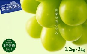 【2026年発送】山梨県産 シャインマスカット 【選べる容量 1.2kg以上/3kg】期間限定 フルーツ 果物 山梨 富士吉田
