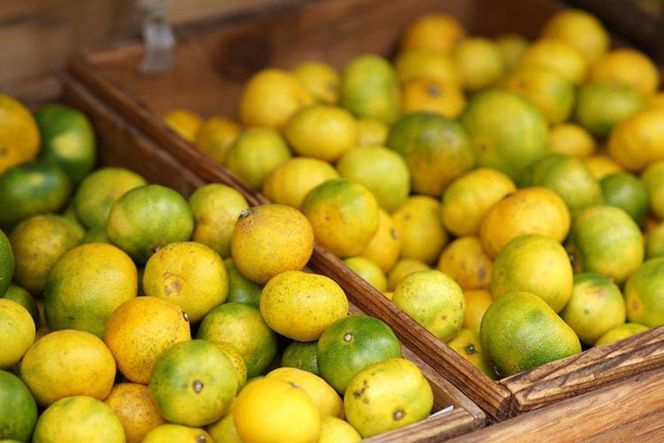 和歌山由良町産 由良早生みかん 約3kg 訳あり キズ 御家庭用 サイズ混合 ※2026年10月～発送