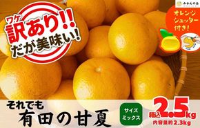 訳あり それでも 甘夏 箱込 2.5kg (内容量約 2.3kg)  サイズミックス 産地直送 家庭用 皮むき器付き［みかんの会］ AX260